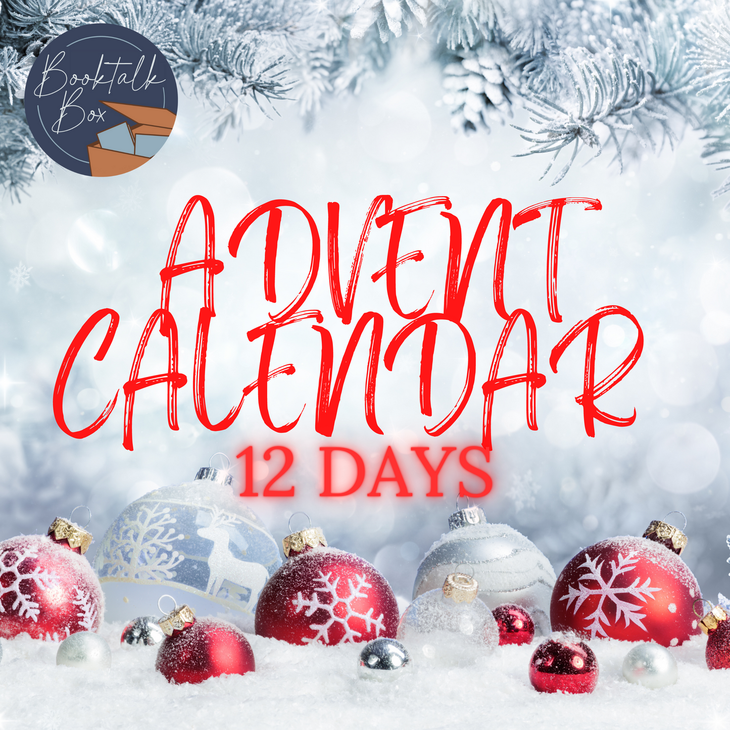 Pre-Order 12 Day Advent Calendar for Booklovers (includes 6 books)